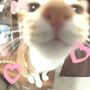 超级无敌可爱小非非