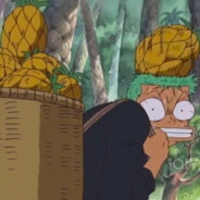 泽甫的椒盐皮燕子