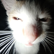 шкодун-покадун - steam id 76561199807657034