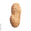 Nut