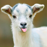 [Goats] ♿ einsebi
