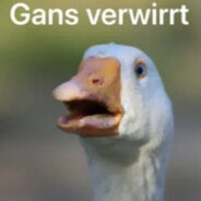 Gans Gefährlich