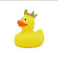 King Ducky V