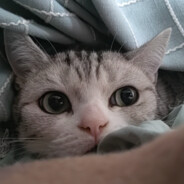 开开爆锤鸡公煲