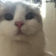 爱吃玉米的詹姆斯