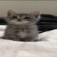 死すべき