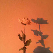 宋亚轩暴力肘击马嘉祺