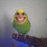 Mr.Pypok