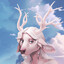 Nirn