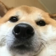 ST_1047 der Waffel Meister™