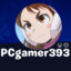 PCgamer393