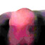 rzm