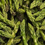 Asparagus Annihilator's avatar