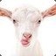 FX | Benjamin The Goat