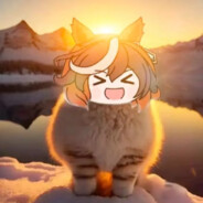 豚鼠君正在闪闪发光呢