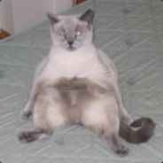 TwiiK - steam id 76561197961258560