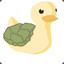 Turtle Duck