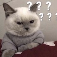 小浣熊换了新口味