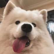 妹妹布拉布拉你的mer