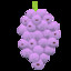 Member_Berries2