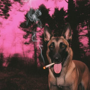 ♡ ятоговсёeбaл ♡