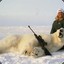 Hunter of Polar Bears