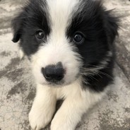 标记一下敌人位置