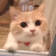 好运