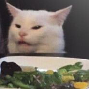 SaladCat