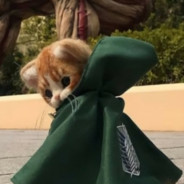 ⁷ᵈʰ