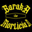 Baraka, the Mortician