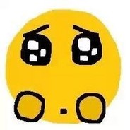 阳光总会在风雨后