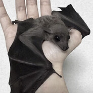 Зимний культ