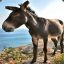 DamagingDonkey
