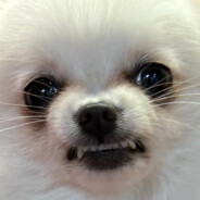 abner丶