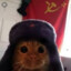 Gato Sovietico