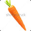 A Literal Carrot