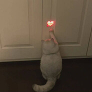 haiters shut up your mounth