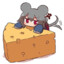 rat