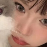 Kitty猫也能杀人