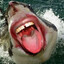 ZAYPOKOI Avatar of player ZAYPOKOI