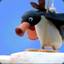 NOOT NOOT