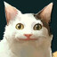 Avatar of Shumei