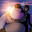 DODO962