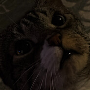 Lixor