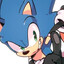 Sonic T. Hedgehog