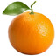 Agent Orange