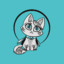 ASilverCat2