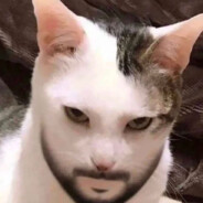 ACKERMYS avatar