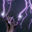 Fannycat2111
